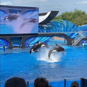 Meet your Posher, Kyle